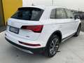 Audi Q5 40 TDI 204 CV quattro S tronic Business Advanced Bianco - thumbnail 2