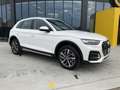 Audi Q5 40 TDI 204 CV quattro S tronic Business Advanced Bianco - thumbnail 1
