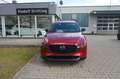 Mazda CX-5 2.5 SKYACTIV 194PS Homura + Leder schwarz Rojo - thumbnail 3