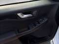 Ford Kuga Plug-In Hybrid ST-Line X Sportpaket Bluetooth Weiß - thumbnail 7