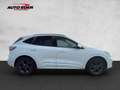 Ford Kuga Plug-In Hybrid ST-Line X Sportpaket Bluetooth Weiß - thumbnail 14