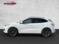 Ford Kuga Plug-In Hybrid ST-Line X Sportpaket Bluetooth Weiß - thumbnail 17