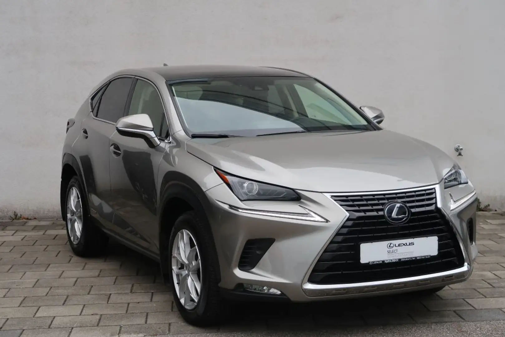 Lexus NX 300 300h Executive Line Zilver - 2