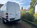 Mercedes-Benz Sprinter Sprinter Tourer 316 CDI 3,5t / 3.665 mm Weiß - thumbnail 3