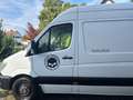 Mercedes-Benz Sprinter Sprinter Tourer 316 CDI 3,5t / 3.665 mm Weiß - thumbnail 1
