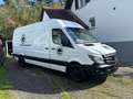 Mercedes-Benz Sprinter Sprinter Tourer 316 CDI 3,5t / 3.665 mm Weiß - thumbnail 2