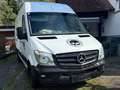 Mercedes-Benz Sprinter Sprinter Tourer 316 CDI 3,5t / 3.665 mm Weiß - thumbnail 4