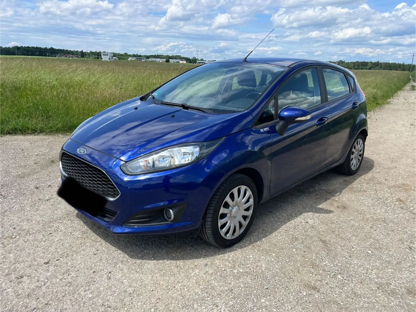 Ford Fiesta 1,0 EcoBoost Trend 88000KM Blu/Azzurro - 2