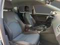 SEAT Leon Leon 1.6 TDI 105 Start/Stop i-Tech Weiß - thumbnail 10