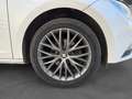 SEAT Leon Leon 1.6 TDI 105 Start/Stop i-Tech Blanc - thumbnail 19