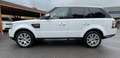 Land Rover Range Rover Sport Range Rover Sport 3.0 SDV6 SE Fehér - thumbnail 5