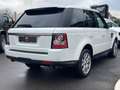 Land Rover Range Rover Sport Range Rover Sport 3.0 SDV6 SE Fehér - thumbnail 8