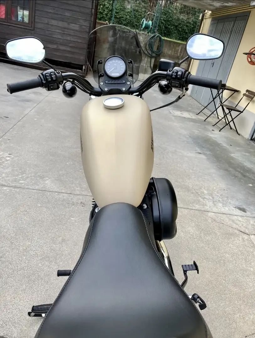 Harley-Davidson Iron 883 iron con pedane sella passeggero e schienale Beige - 2
