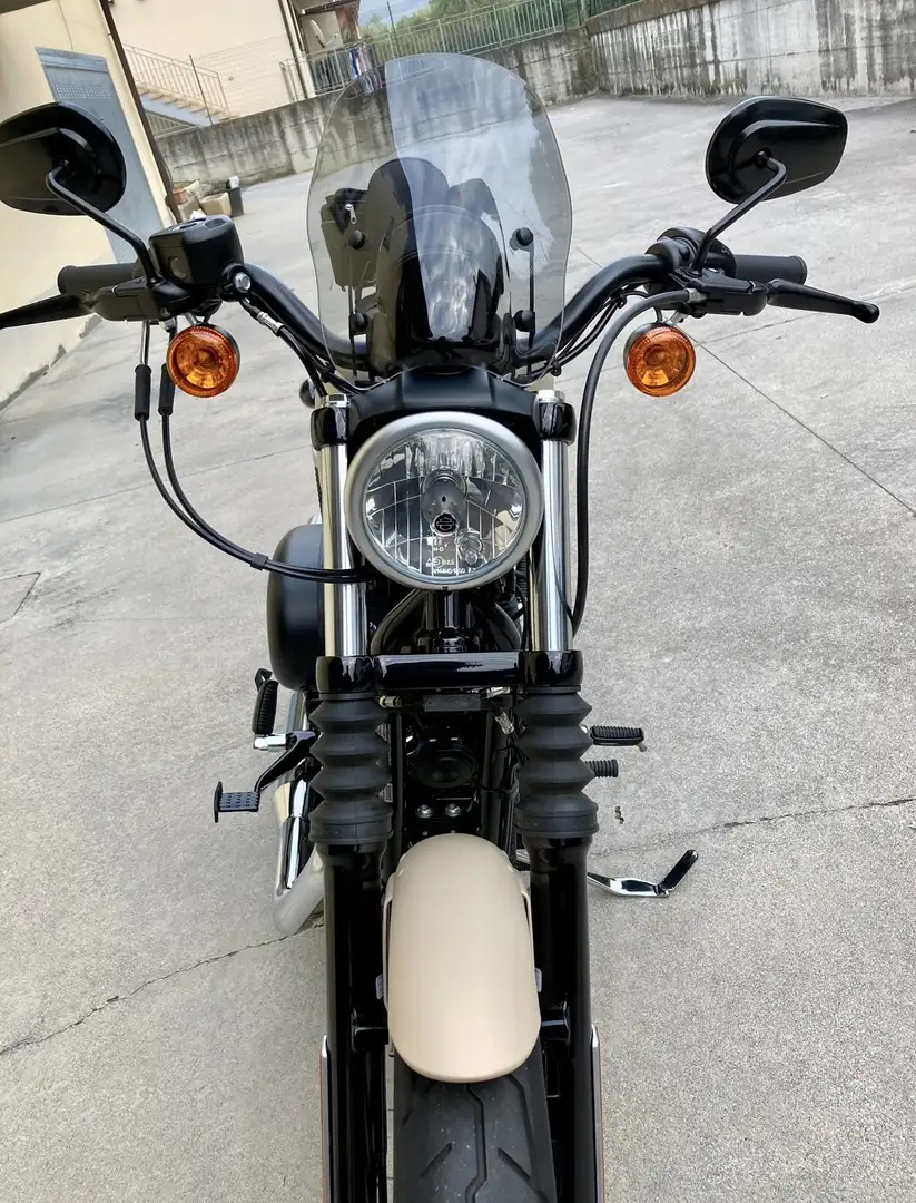 Harley-Davidson Iron 883 iron con pedane sella passeggero e schienale Beige - 1