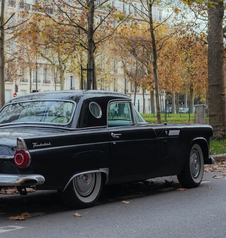 Ford Thunderbird, foto 3