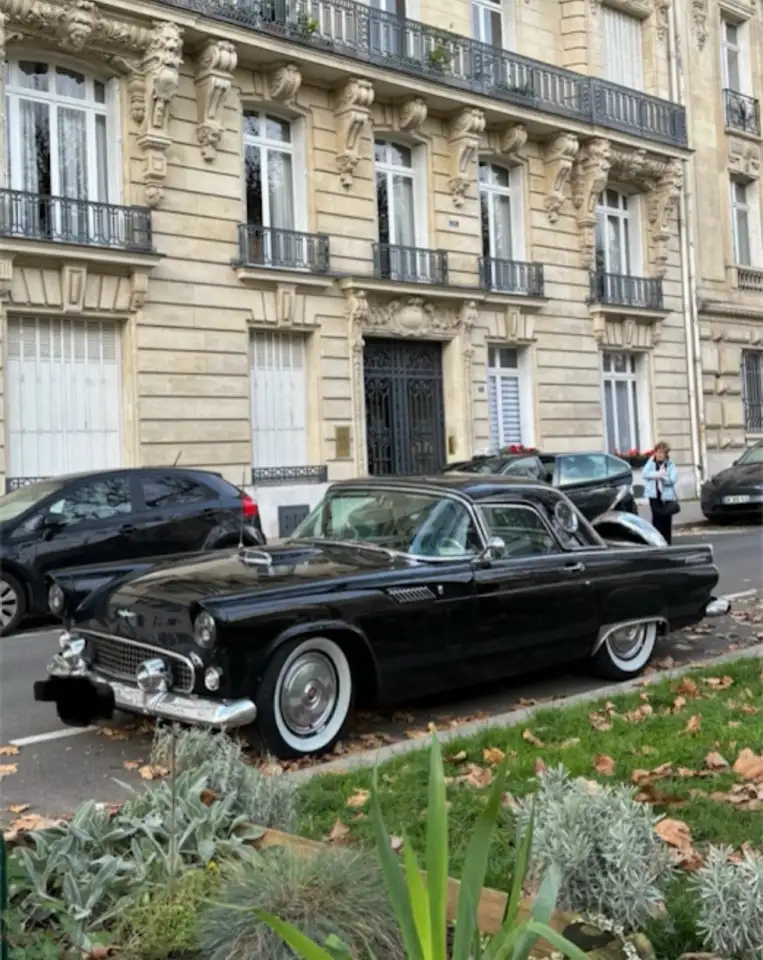 Ford Thunderbird, foto 2