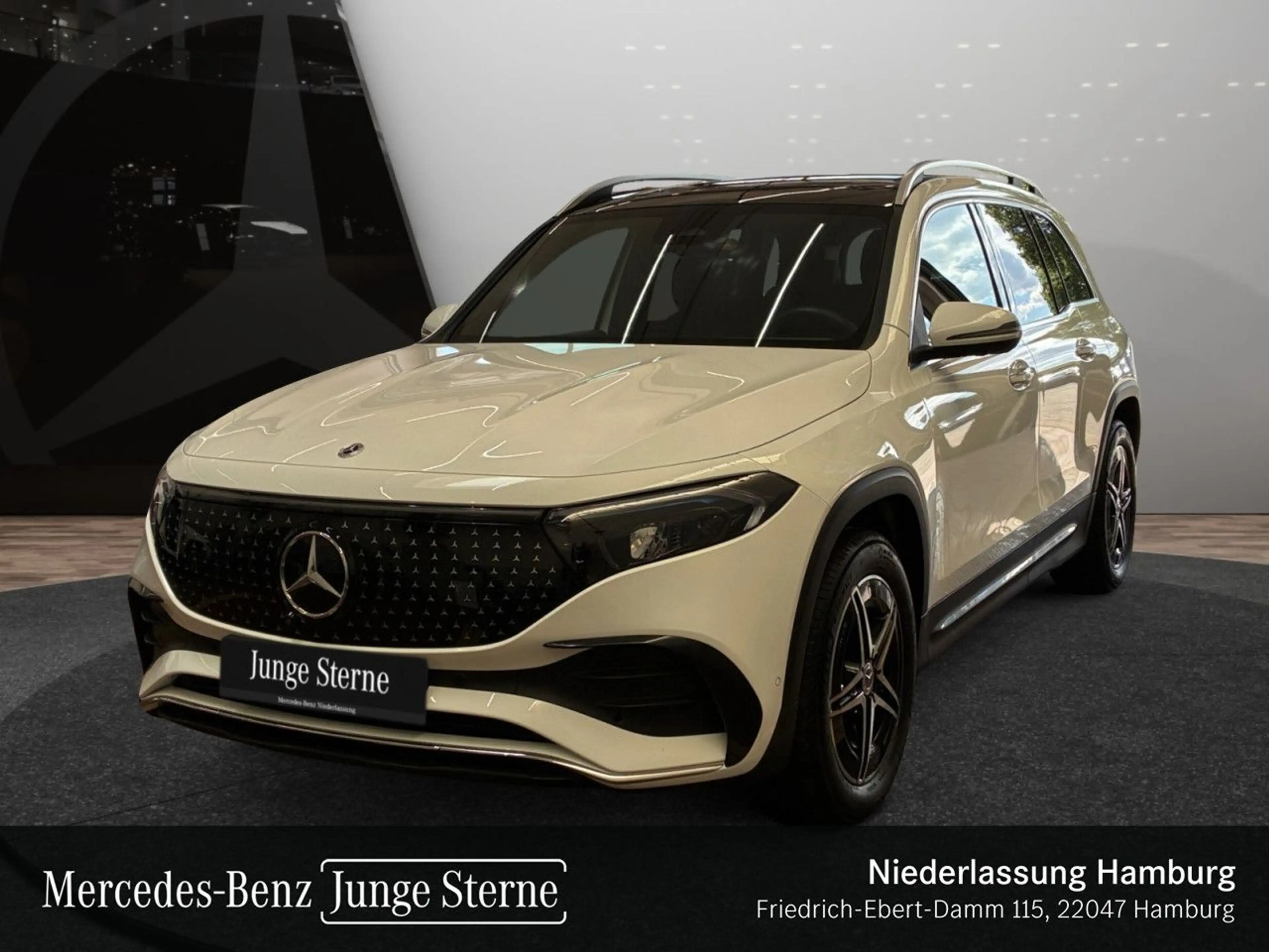 Mercedes-Benz EQB 250 AMG+PLUS-PAKET+AHK+PANO+360+MEMORY+KEYLESS — photo 2