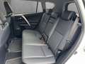 Toyota RAV 4 Hybrid Executive 4x4 AHK BI-LED Weiß - thumbnail 12