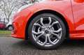 Ford Fiesta 1.0 EcoBoost 125pk MHEV 5dr ST-Line Pano-dak Navi Rot - thumbnail 12