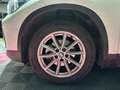 BMW X1 X1 sDrive 16d 116 ch DKG7 Business Design Blanc - thumbnail 10