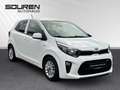 Kia Picanto Dream Team SITZHEIZUNG+KLIMA+ GANZJAHRESREIFEN Weiß - thumbnail 6