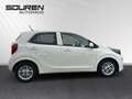 Kia Picanto Dream Team SITZHEIZUNG+KLIMA+ GANZJAHRESREIFEN Weiß - thumbnail 5