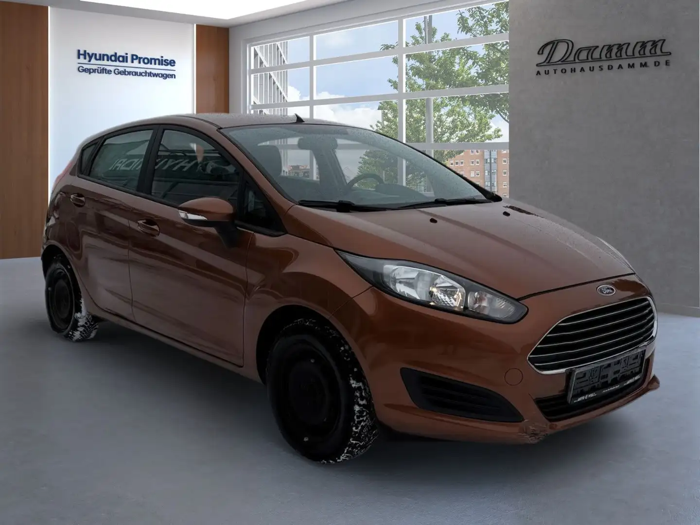 Ford Fiesta Braun - 2