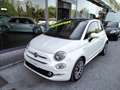 Fiat 500 1.0 Hybrid Dolcevita Bianco - thumbnail 2