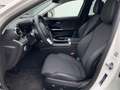 Mercedes-Benz C 220 d T-Modell Distr MBUX Navi RKam PTS Shz Weiß - thumbnail 8