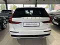 Volvo V60 T6 Plus Dark Recharge AWD  ACC BLIS 360° H/K Blanc - thumbnail 8