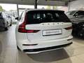 Volvo V60 T6 Plus Dark Recharge AWD  ACC BLIS 360° H/K Blanc - thumbnail 9
