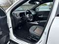 Mercedes-Benz EQA 250 Navi Cam PTS Pano AUT Wide LED EASY-PACK Weiß - thumbnail 12