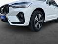 Volvo XC60 XC60 T6 AWD Plug-in Hybrid Plus Dark Business Weiß - thumbnail 7