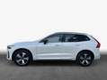 Volvo XC60 XC60 T6 AWD Plug-in Hybrid Plus Dark Business Weiß - thumbnail 5