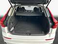 Volvo XC60 XC60 T6 AWD Plug-in Hybrid Plus Dark Business Weiß - thumbnail 9
