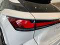 Lexus RX 450h 500h F Sport Blanco - thumbnail 20
