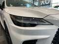 Lexus RX 450h 500h F Sport Blanco - thumbnail 19
