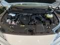 Lexus RX 450h 500h F Sport Blanco - thumbnail 21