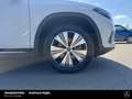 Mercedes-Benz EQA 250 EQA 250 Progressive Distronic Memo LED Kam Ambie Weiß - thumbnail 14