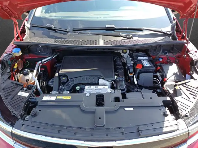 Opel Grandland view 5
