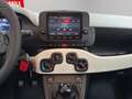 Fiat Panda Pandina FireFly Hybrid 70 Cross Aktionspreis Gelb - thumbnail 13