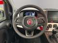 Fiat Panda Pandina FireFly Hybrid 70 Cross Aktionspreis Gelb - thumbnail 10
