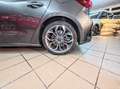 Ford Focus Focus V 2022 1.0 ecoboost h ST-Line Design 125cv Grigio - thumbnail 9