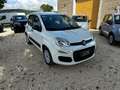 Fiat Panda Panda 1.2 Lounge easypower Gpl PREZZO REALE Weiß - thumbnail 1