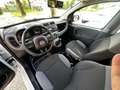 Fiat Panda Panda 1.2 Lounge easypower Gpl PREZZO REALE Weiß - thumbnail 14