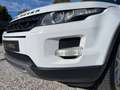 Land Rover Range Rover Evoque 2.2D/Clima/Cruise/Gekeurd metcar-pass/Garantie/*** Weiß - thumbnail 26