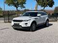 Land Rover Range Rover Evoque 2.2D/Clima/Cruise/Gekeurd metcar-pass/Garantie/*** Weiß - thumbnail 1