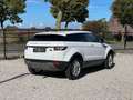 Land Rover Range Rover Evoque 2.2D/Clima/Cruise/Gekeurd metcar-pass/Garantie/*** Weiß - thumbnail 4