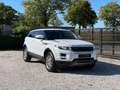 Land Rover Range Rover Evoque 2.2D/Clima/Cruise/Gekeurd metcar-pass/Garantie/*** Weiß - thumbnail 3