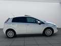 Fiat Punto Evo Punto Evo 1,4 75 S S Weiß - thumbnail 7